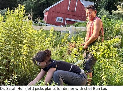 Sarah Hull picks plants at Bun Lai's farm as Bun watches