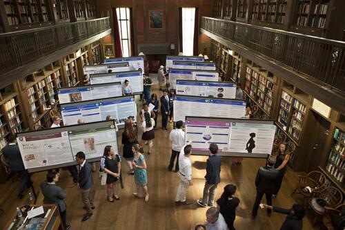 People in a library look at scientific poster presentations