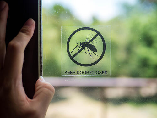  A door with a symbol mosquito danger sign template